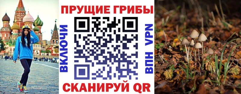 Псилоцибиновые грибы Cubensis  МЕГА вход  Усинск 